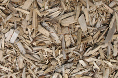 biomass boilers Scagglethorpe